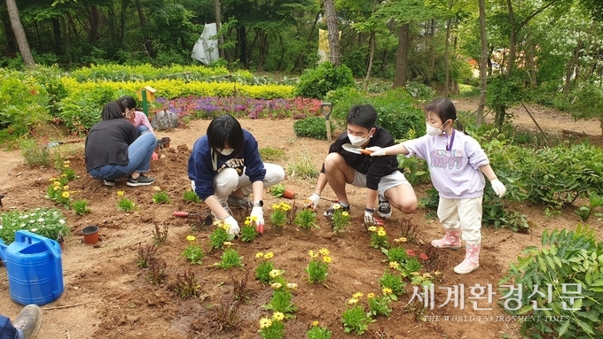 홍성군, 우리 가족 꽃밭으로 놀러오세요