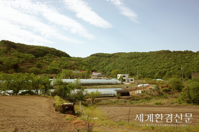 부여 은산면 나령리 마을 전경