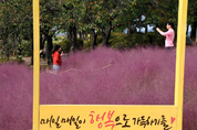 시흥, 가을에 빠지다