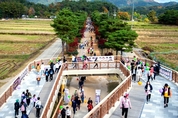 제천시, 2024 삼한의 초록길 걷기 대행진 성료