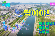 하남시, 트로트에 봄을 담다… 전국 226개 기초지자체 최초 AI 뮤직비디오 ‘딱이야’ 화제