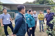 경남도 농정국장, 밀양시 우박피해 현장 점검