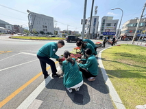 밀양시 내이동, 여름꽃 식재로 활기차고 아름다운 거리 조성