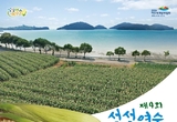 여수시, ‘제4회 섬섬여수옥수수 페스티벌’ 28~29일 개최