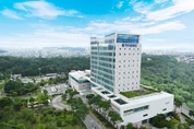 7월 중 절반이 비 내려, 빗길 교통사고 조심하세요!