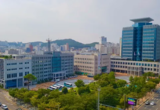 울산시, 구군과 함께 여름 휴가철 맞이 물가 점검 나서
