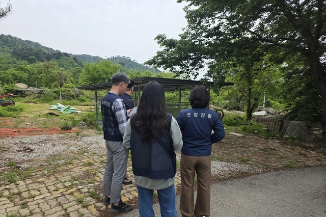 서부지방산림청, 여름철 산림 내 불법행위 집중단속
