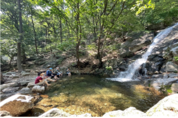 시원한 숲에서 힐링하세요! 서울대공원 산림여가 프로그램 풍성