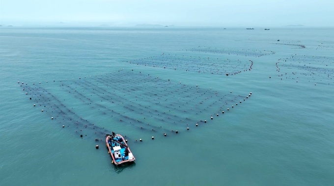 전남 완도군, 해조류 블루카본 시대 선도한다!