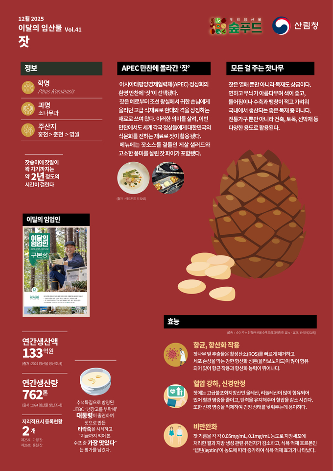 산림청, 12월 이달의 임산물로 ‘잣’ 선정